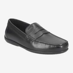 GEOX Art.  ASCANIO Schwarz