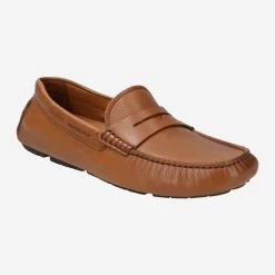 Lloyd Art.  12-431-03* EMMO Braun