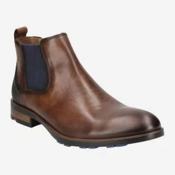 Lloyd Art.  JASER Braun