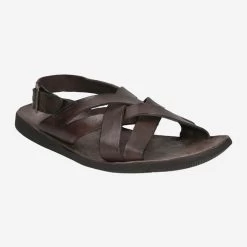 Brador Art.  46-559 Braun