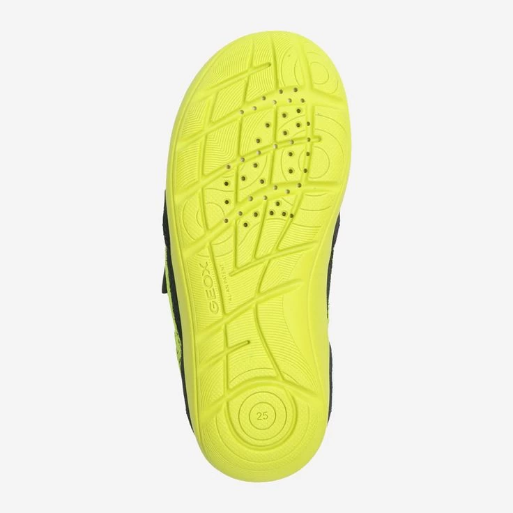 GEOX Art. BARFEEL Grün 4 GEOX Art. BARFEEL Grün – Bild 4