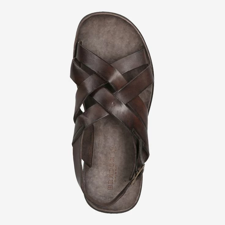 Brador Art. 46-559 Braun 5 Brador Art. 46-559 Braun – Bild 5